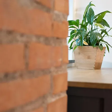 Incentro 4* ミラッツォ