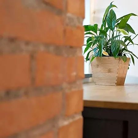 Bed & Breakfast Incentro 4*